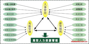 RFID产品全览 从电子标签到读写器，技术参数与市场报价指南
